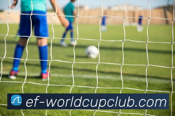 世界杯在线投注平台生态图