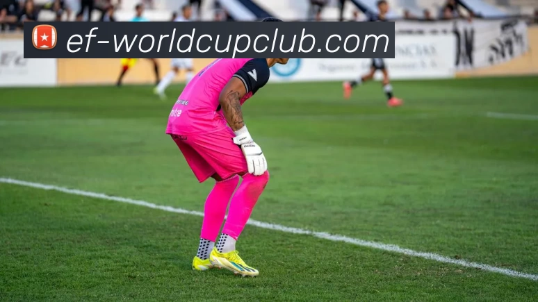 世界杯在线投注APP 封面图